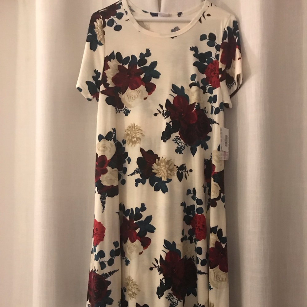 Lularoe Medium Carly Dress NWT